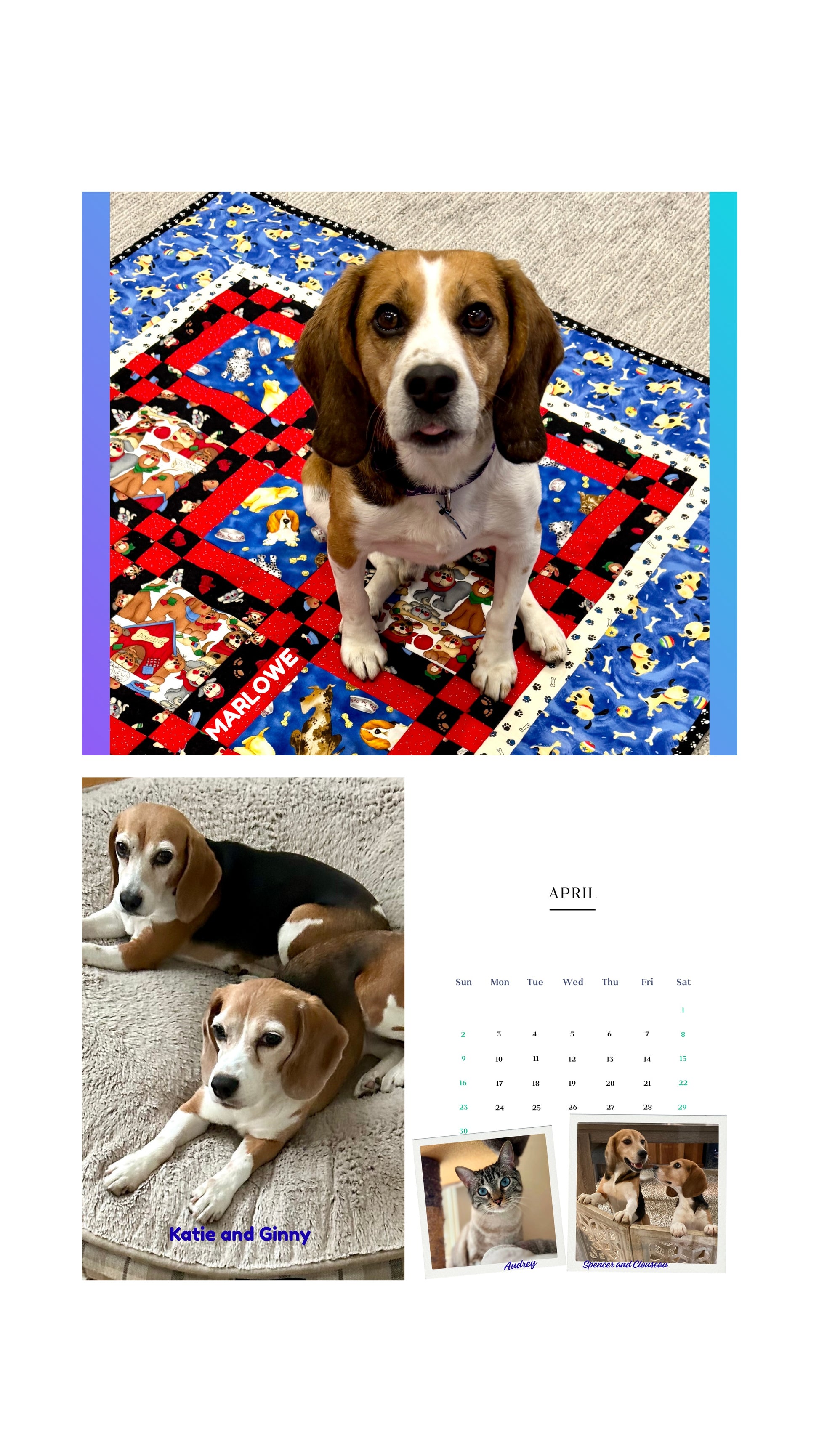 2026 Cage to Couch Calendar