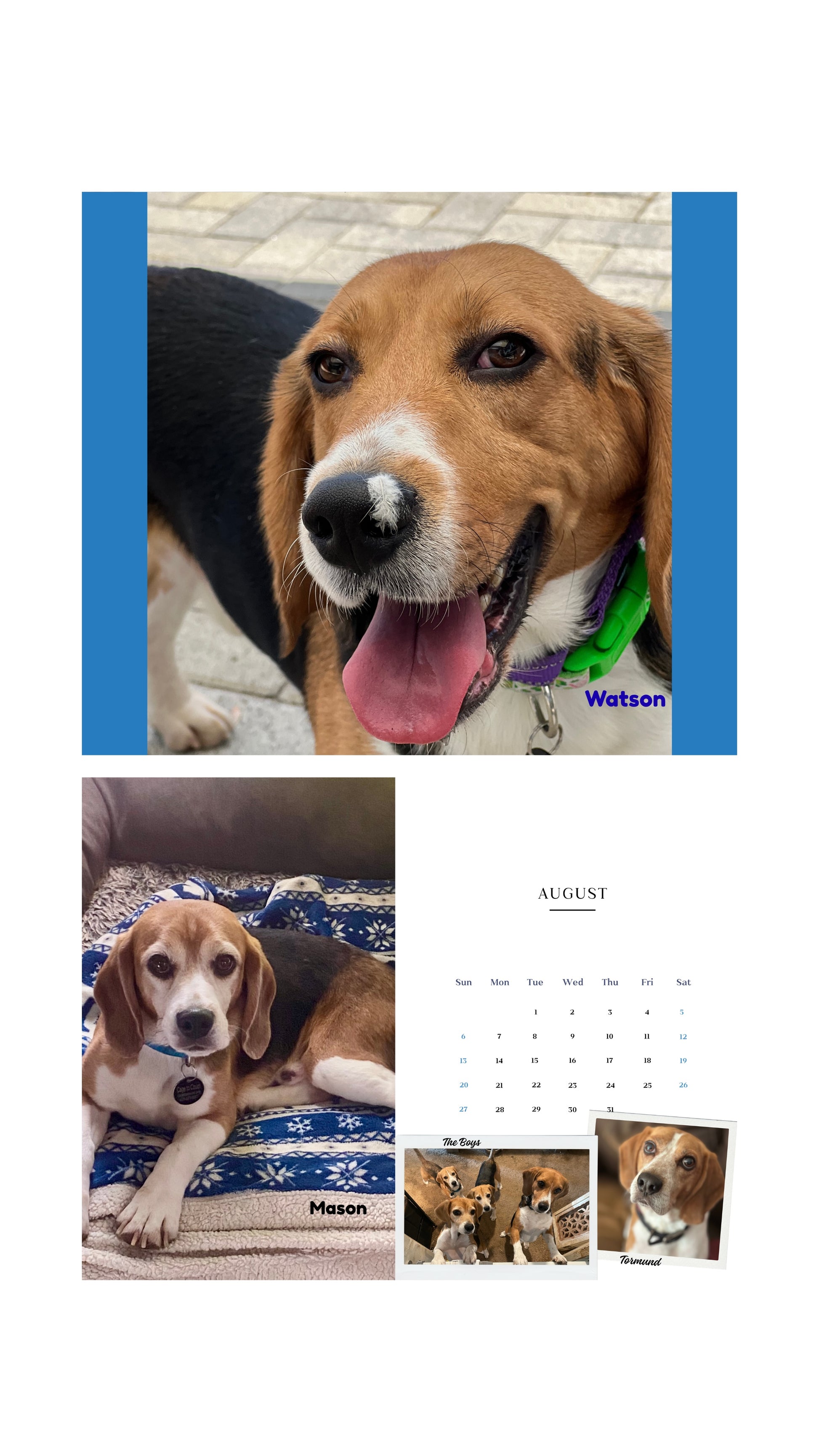 2026 Cage to Couch Calendar