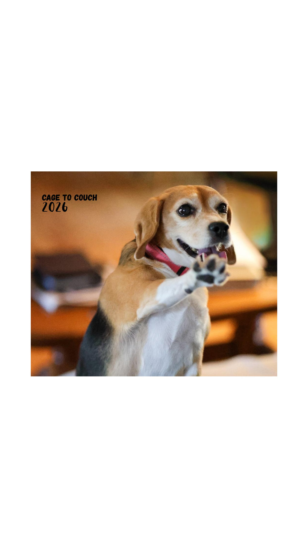 2026 Cage to Couch Calendar