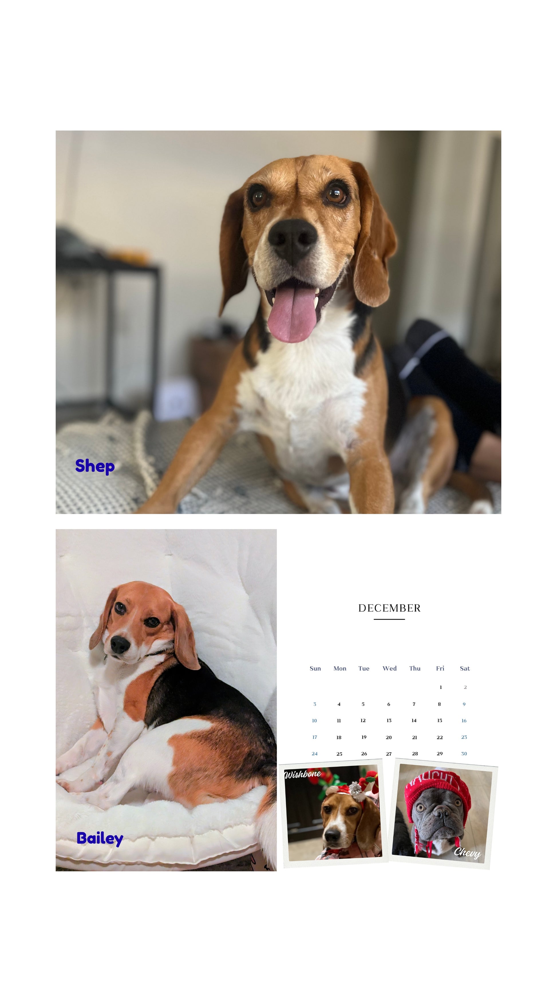 2026 Cage to Couch Calendar