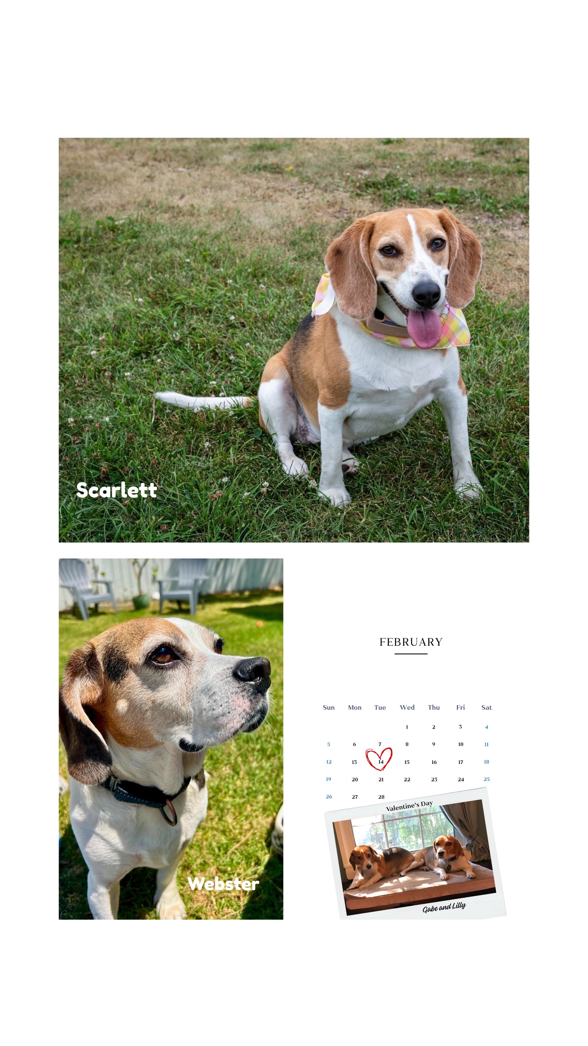 2026 Cage to Couch Calendar