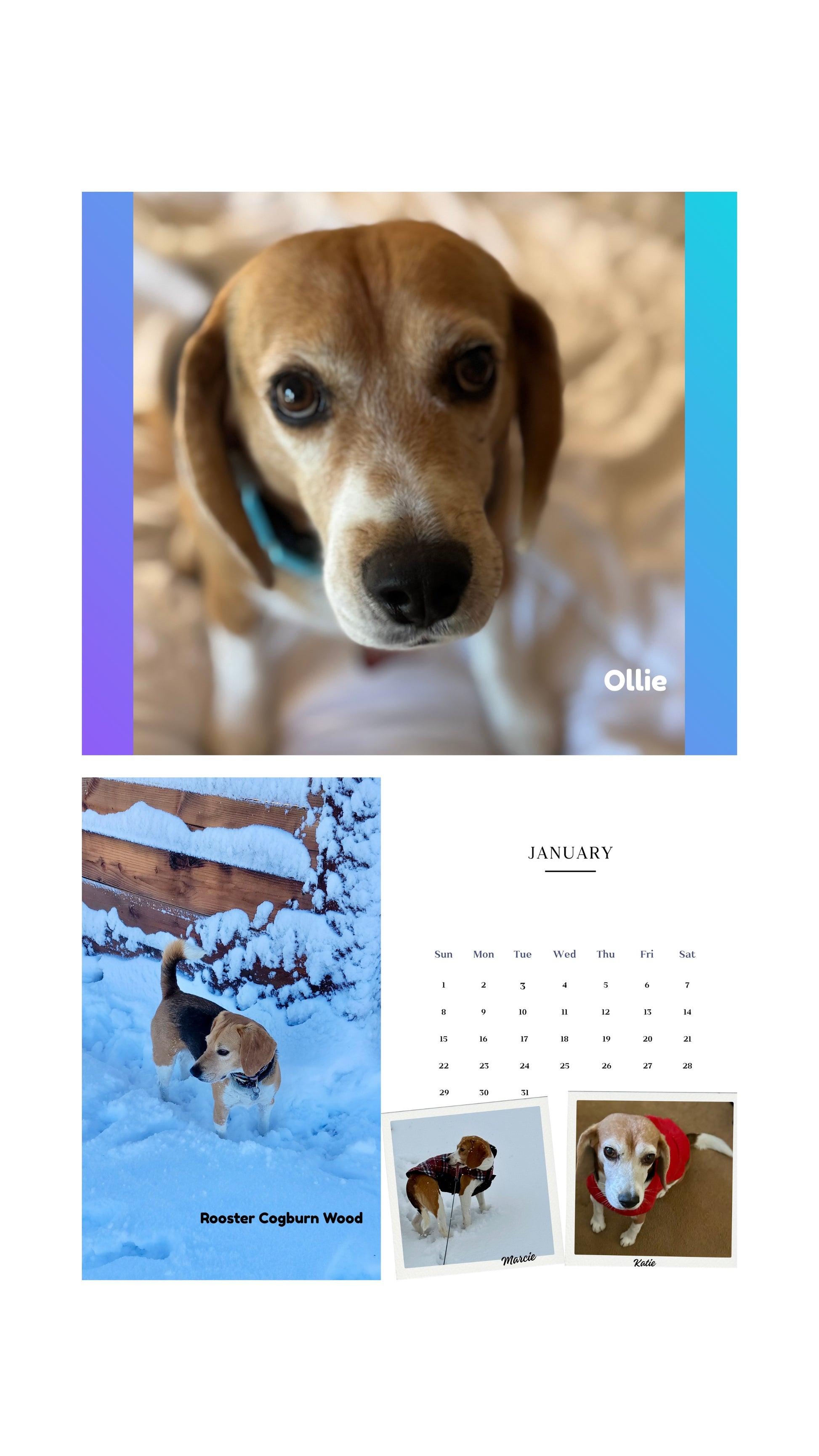 2026 Cage to Couch Calendar