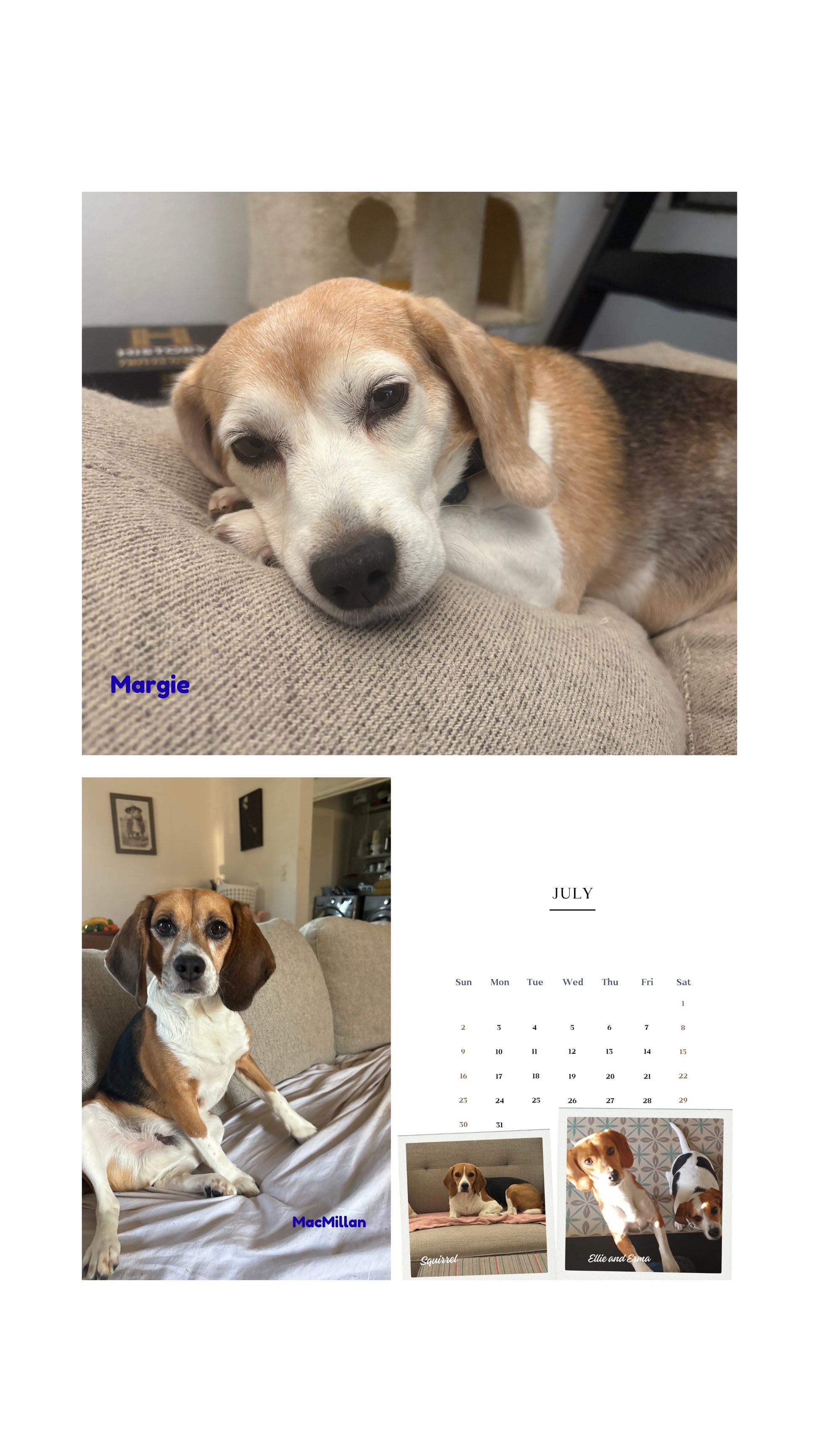 2026 Cage to Couch Calendar