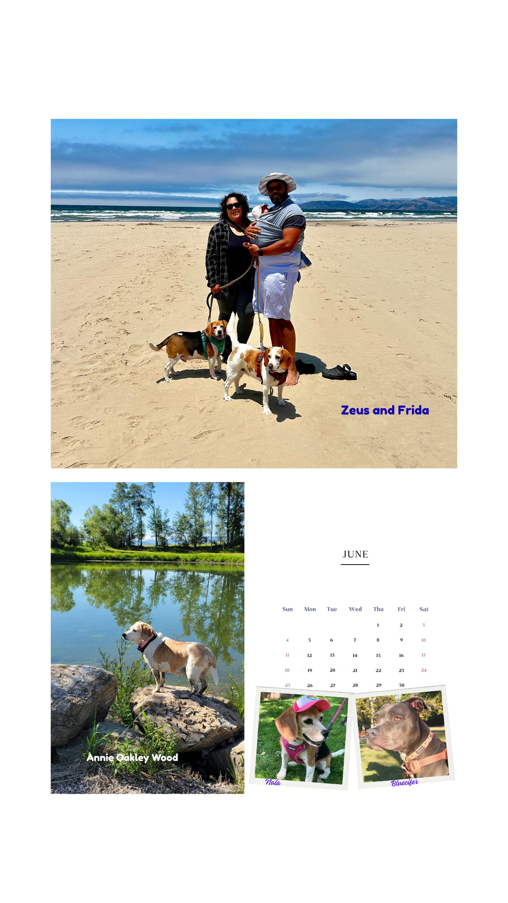 2026 Cage to Couch Calendar