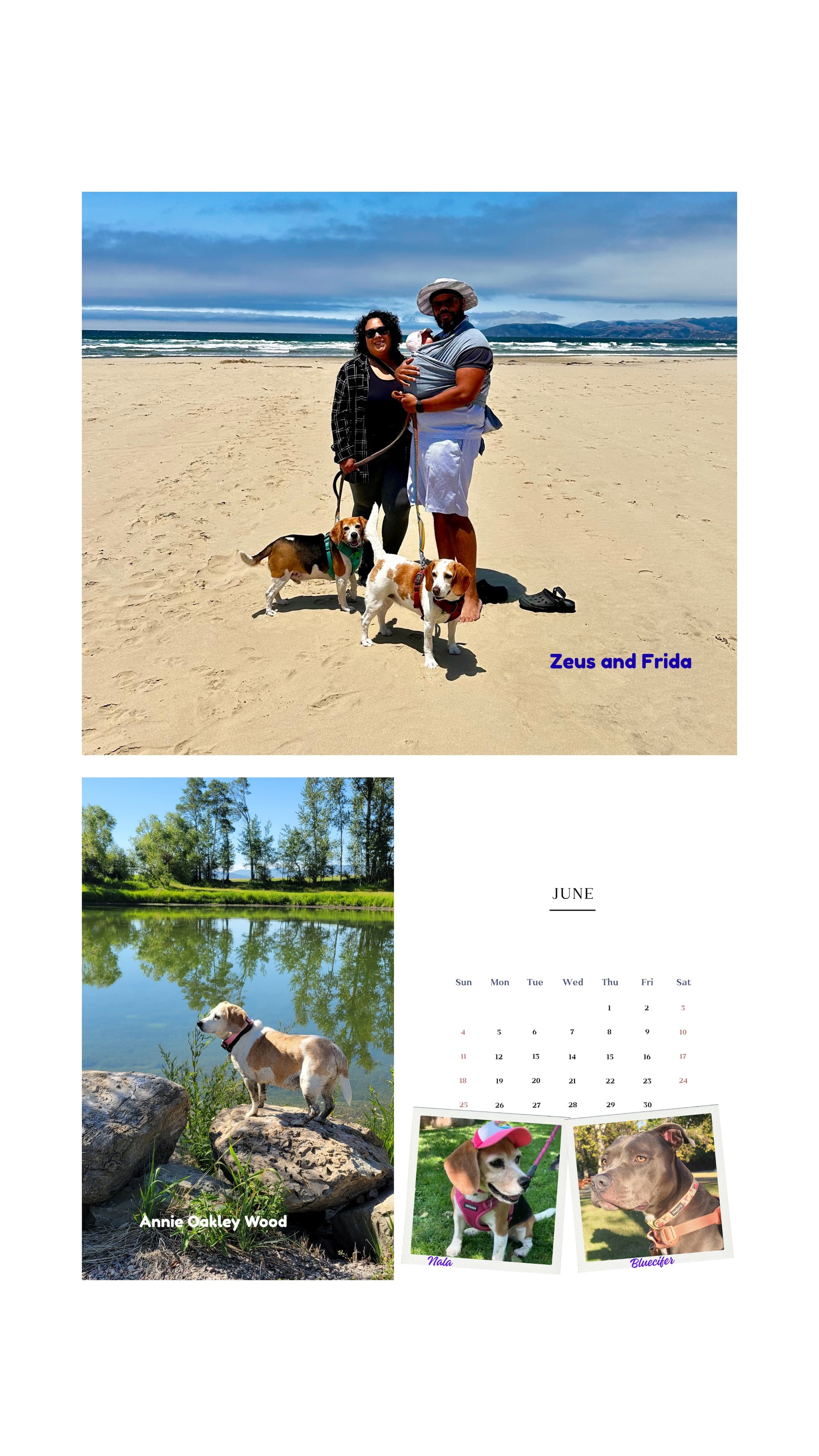 2026 Cage to Couch Calendar