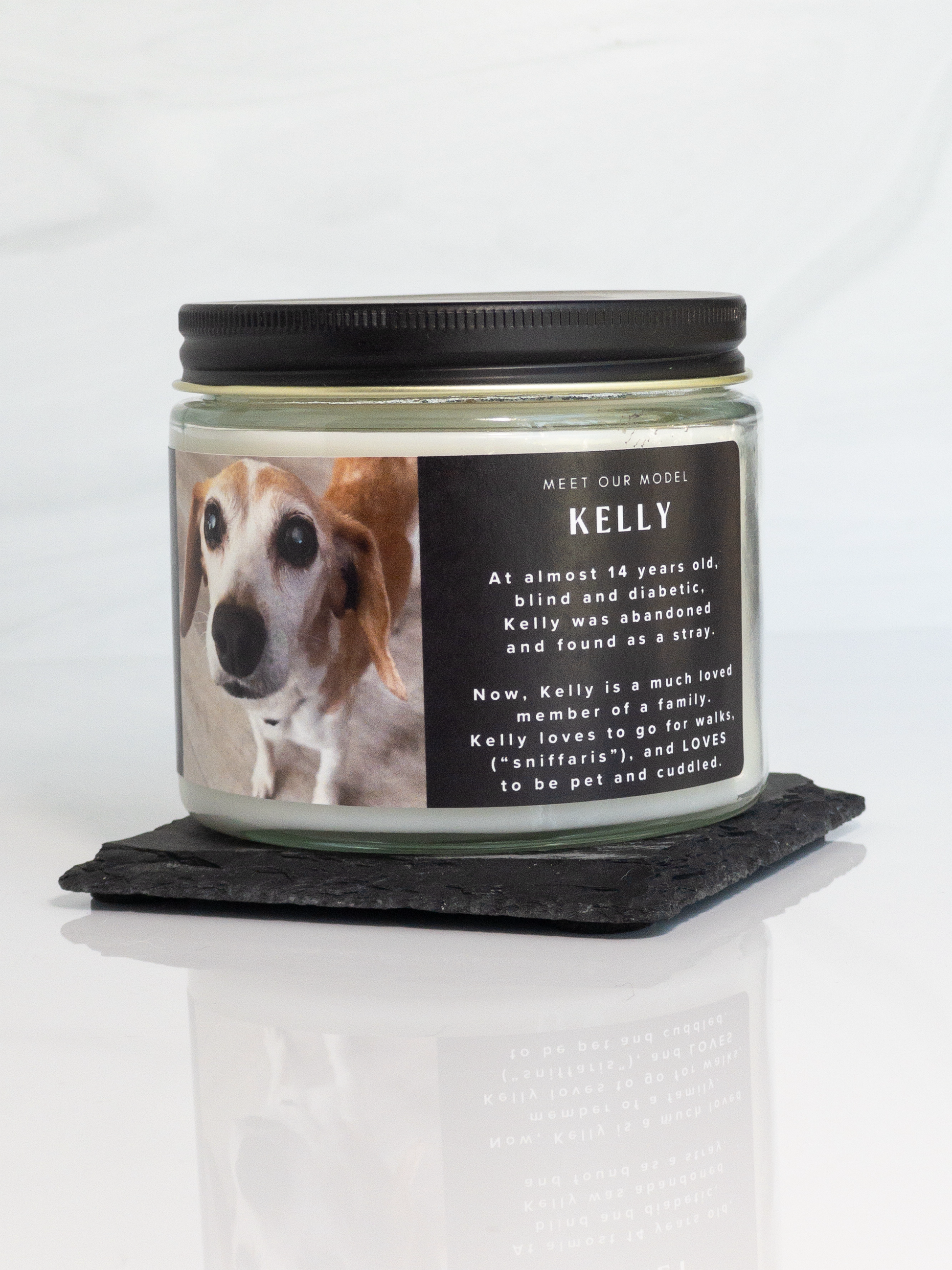 Sugared Snouts Candle