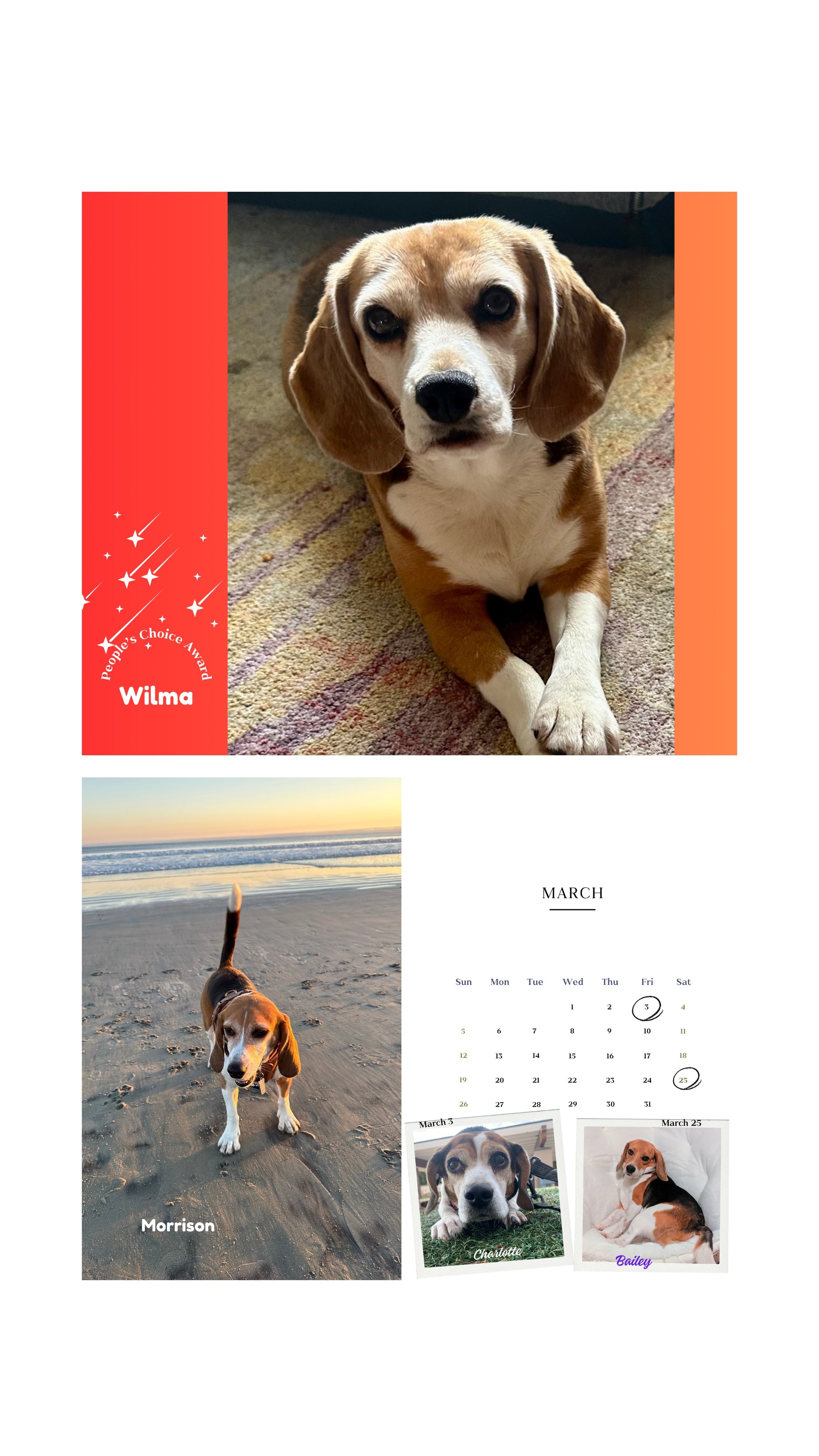 2026 Cage to Couch Calendar