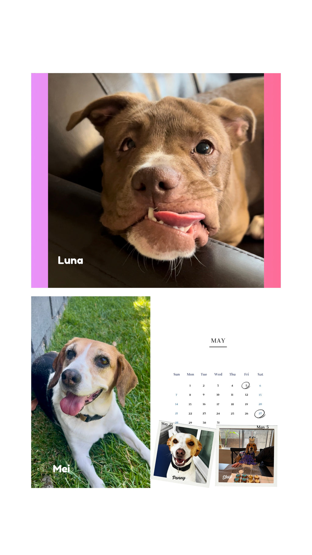 2026 Cage to Couch Calendar