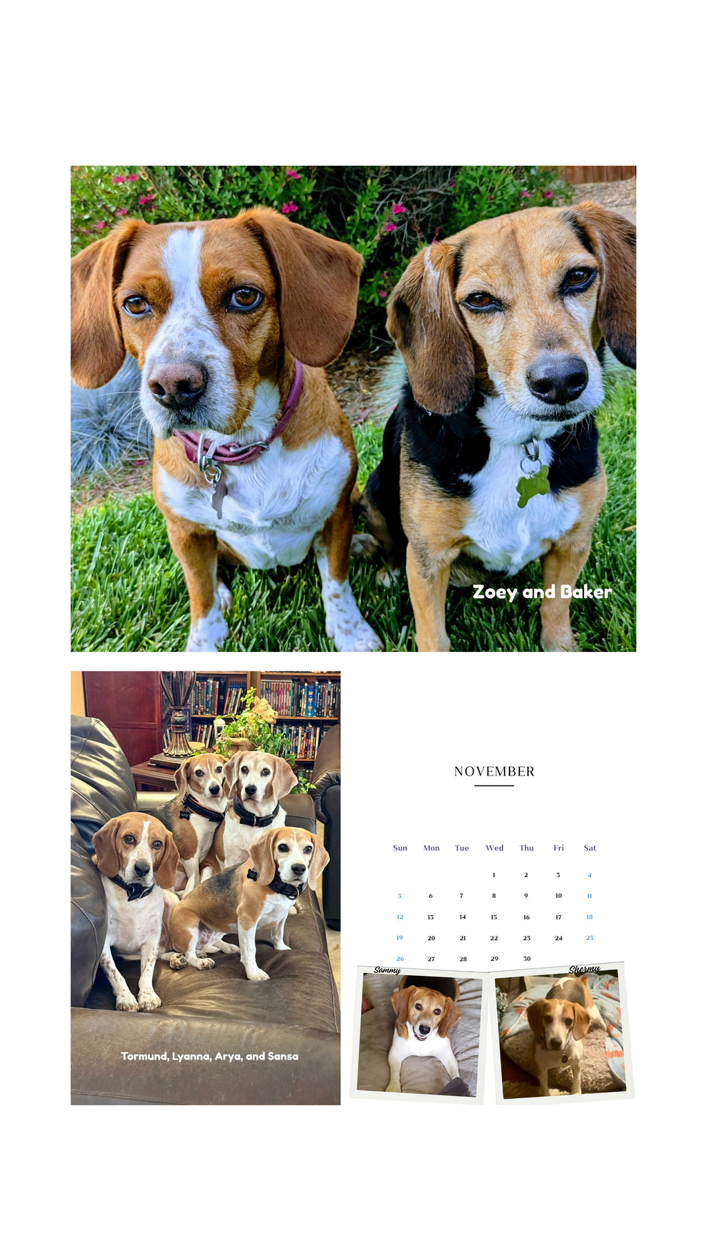 2026 Cage to Couch Calendar