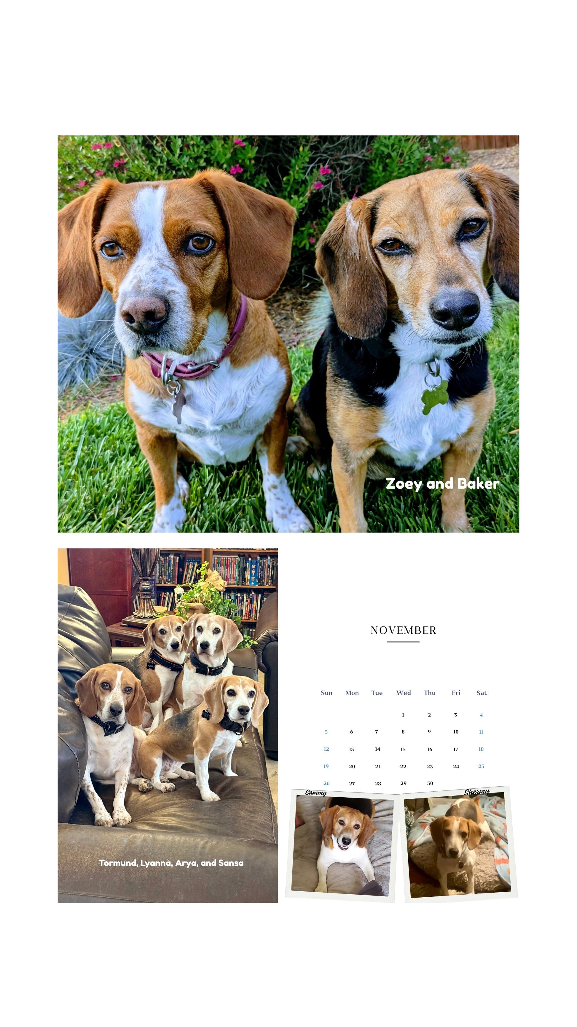 2026 Cage to Couch Calendar