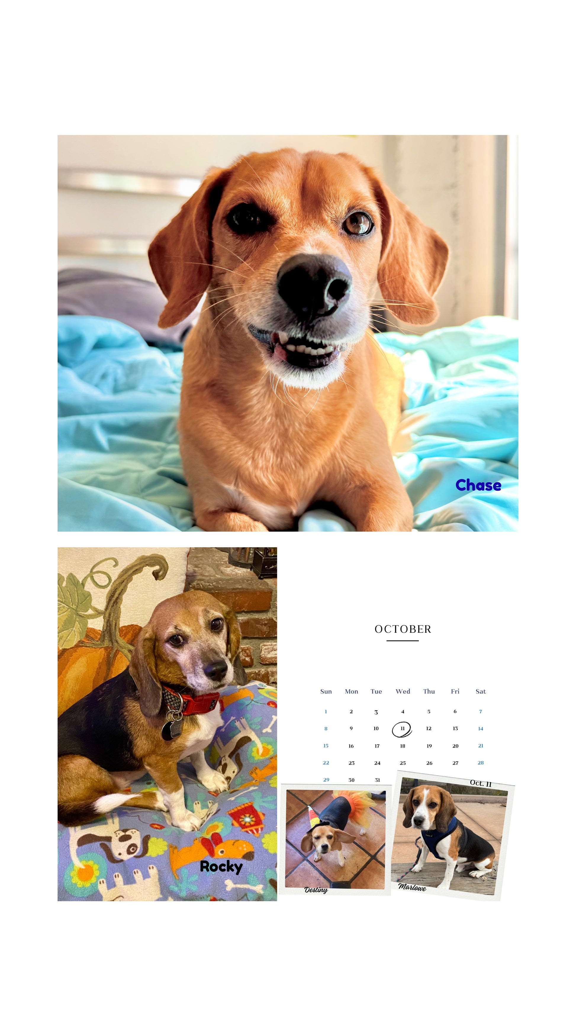 2026 Cage to Couch Calendar