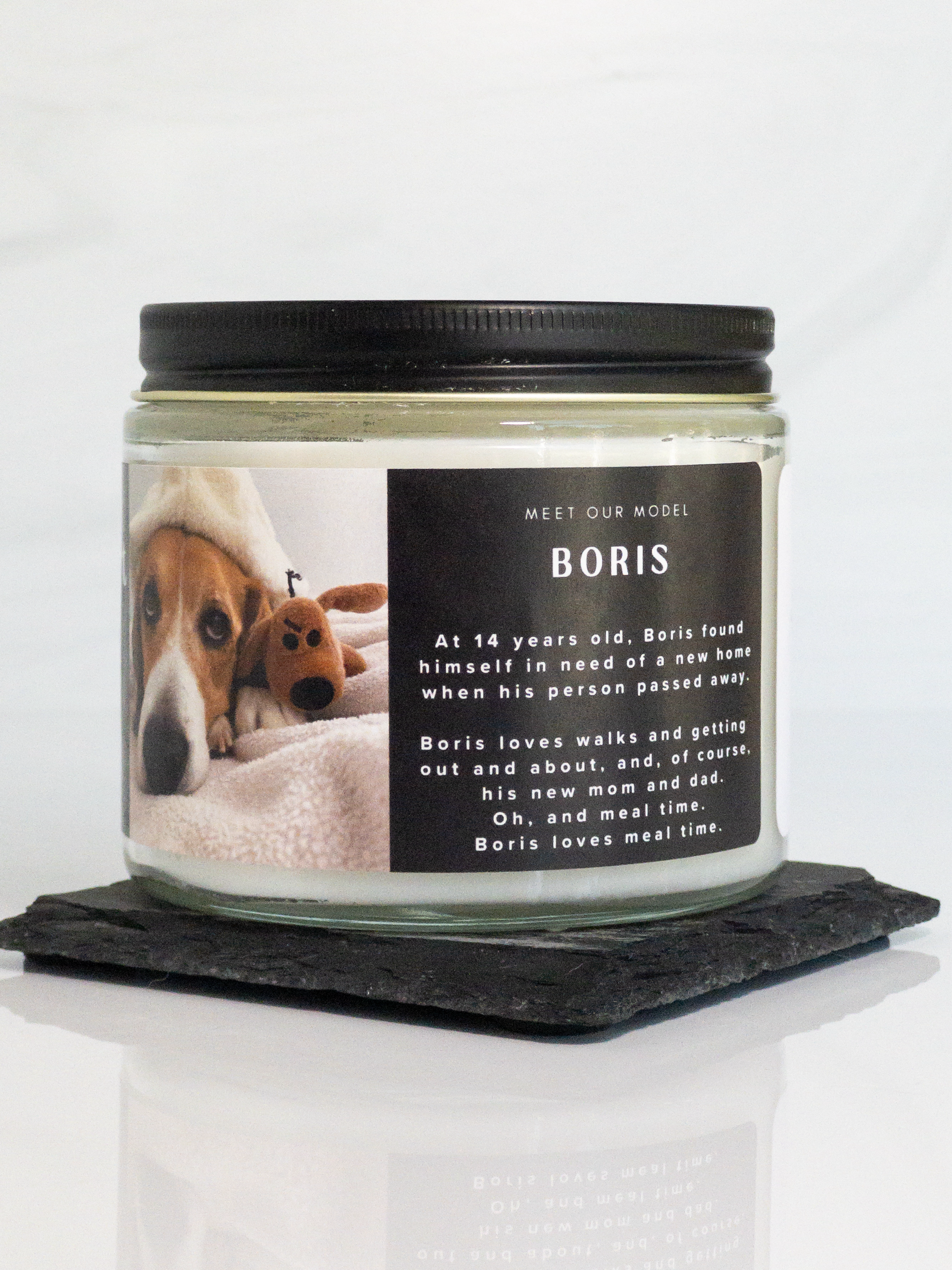 Cold Nose, Warm Heart Candle
