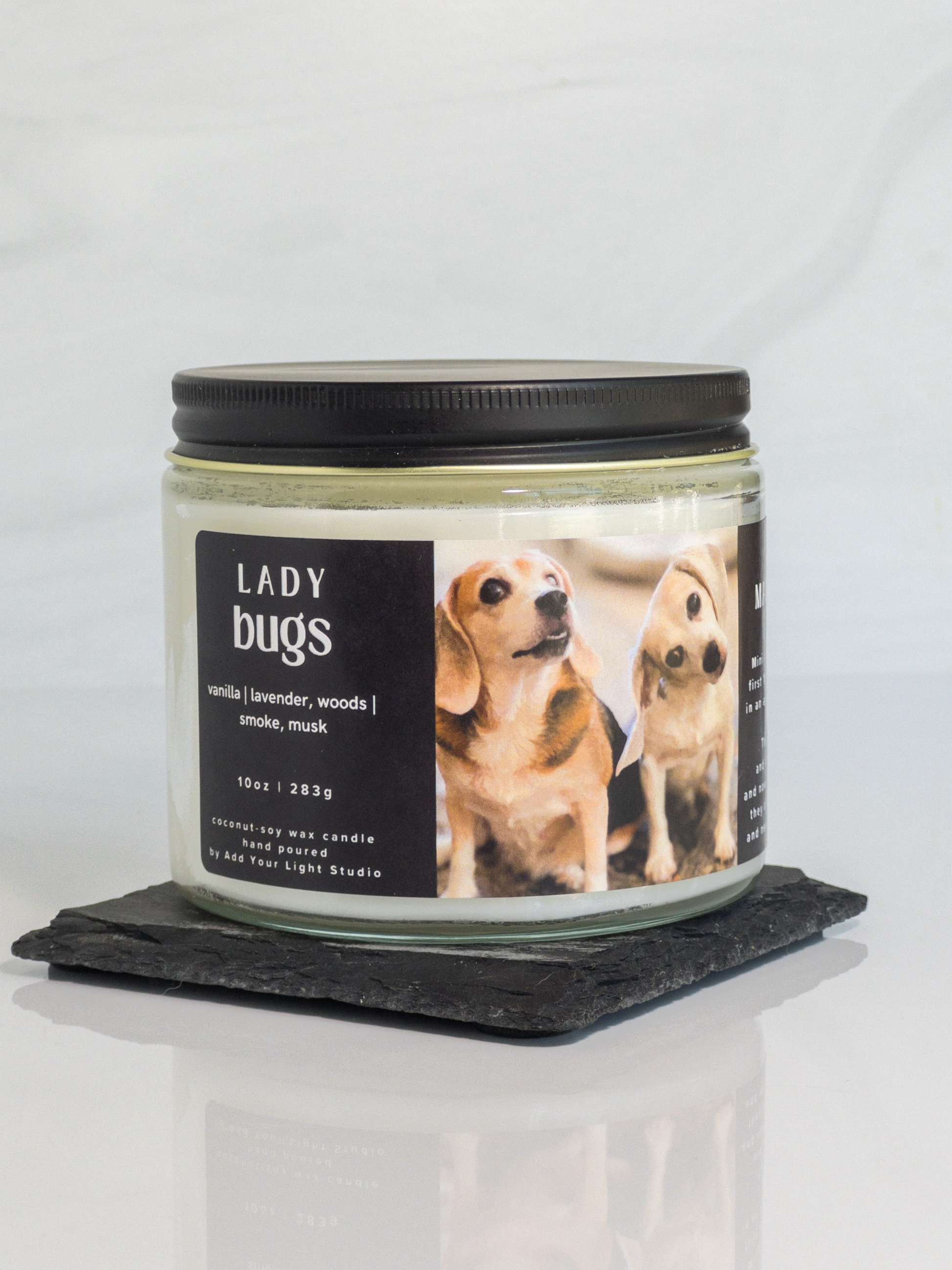 The Ladybugs Candle