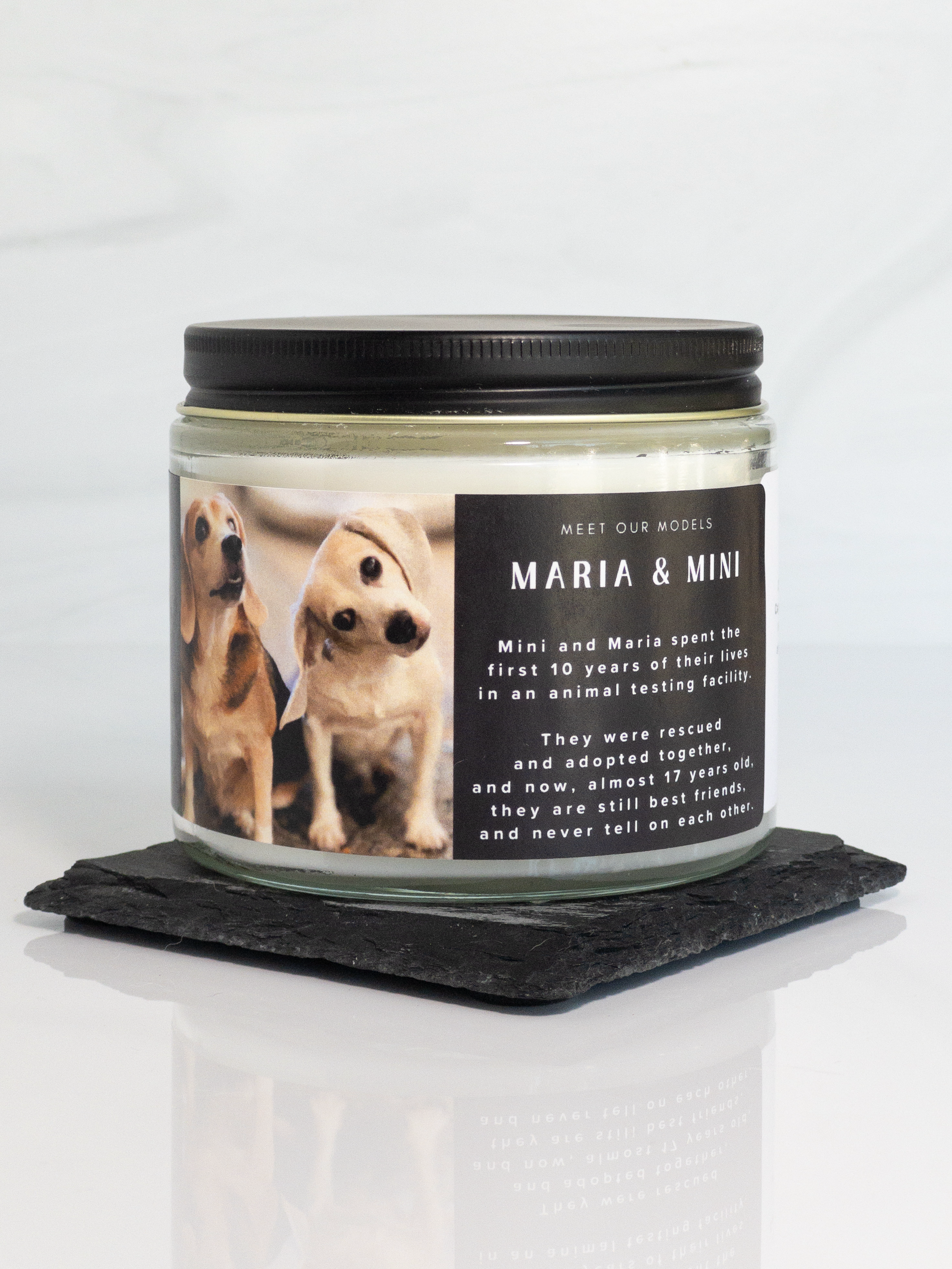 The Ladybugs Candle